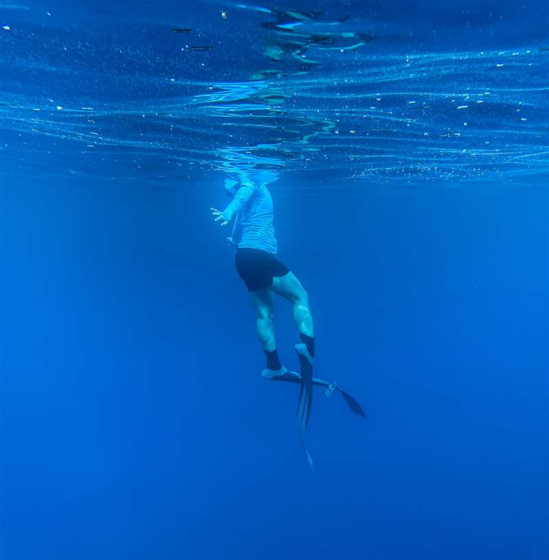 Zodiac Sea Wolf 留意在巴哈馬玩 aBlogtoWatch