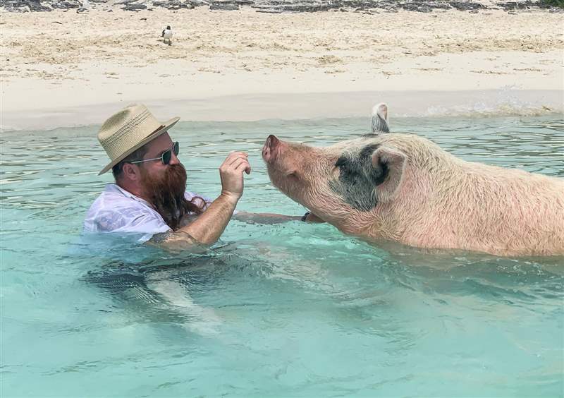 Zodiac Sea Wolf 留意在巴哈馬玩 aBlogtoWatch